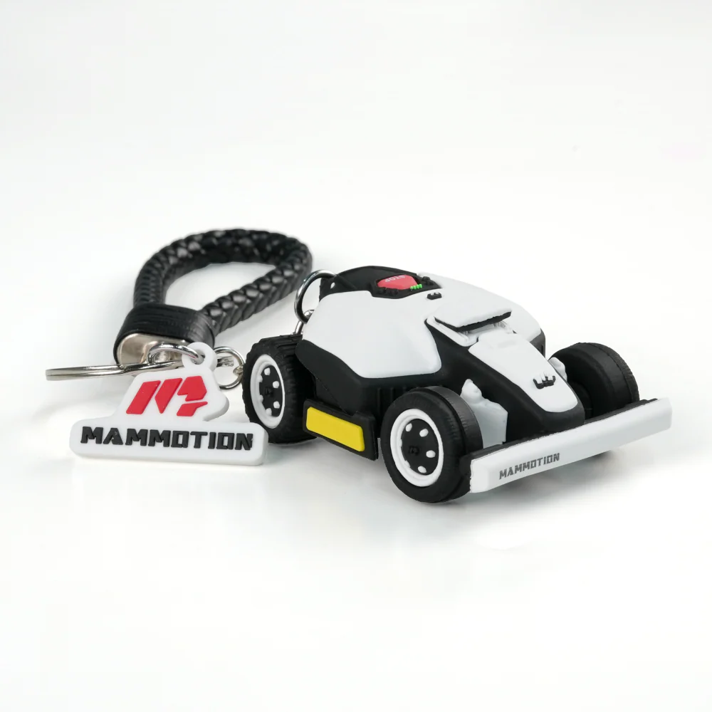 Miniatuur 2
